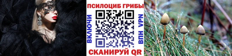 Псилоцибиновые грибы GOLDEN TEACHER  закладки  Заозёрный 